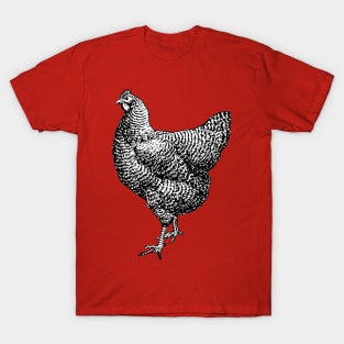Vintage Barred Plymouth Rock Chicken Hen T-Shirt